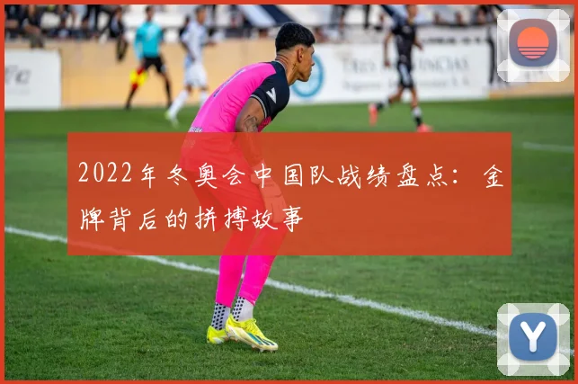 2022年冬奥会中国队战绩盘点：金牌背后的拼搏故事